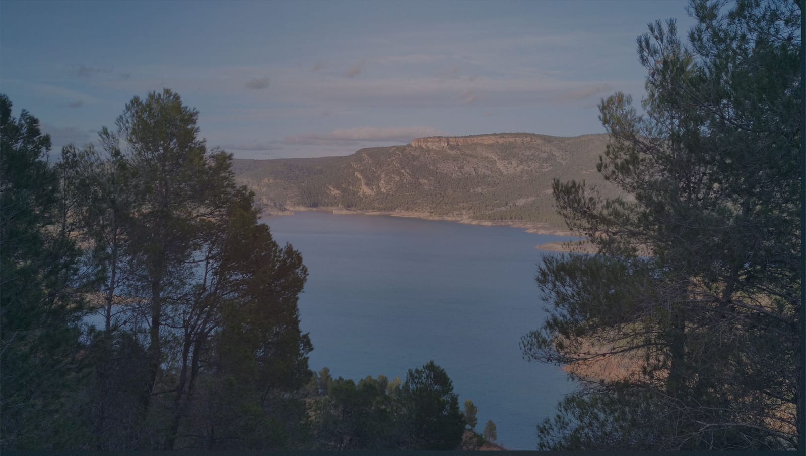 Pinares de La Pesquera, en la Serranía de Cuenca