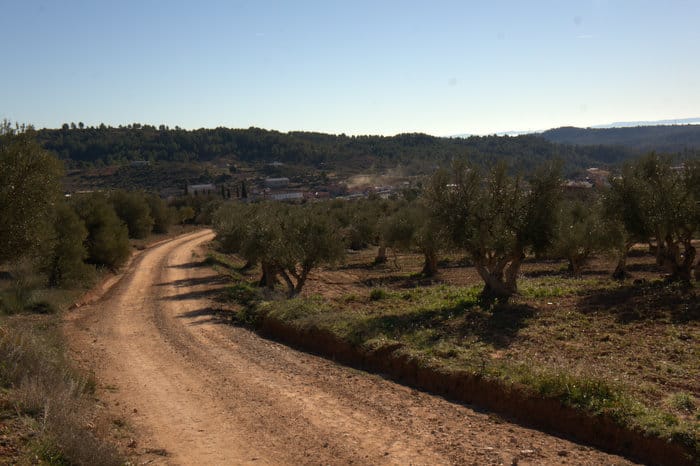 Último tramo de la ruta hacia La Pesquera